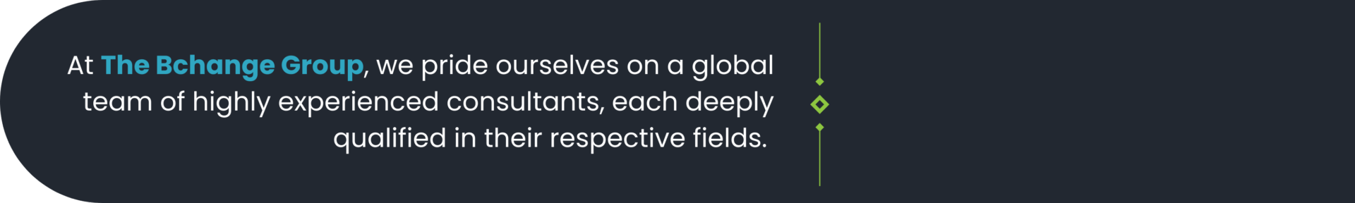 At The Bchange Group, we pride ourselves on a global team of highly experienced consultants, each deeply qualified in their respective fields. 